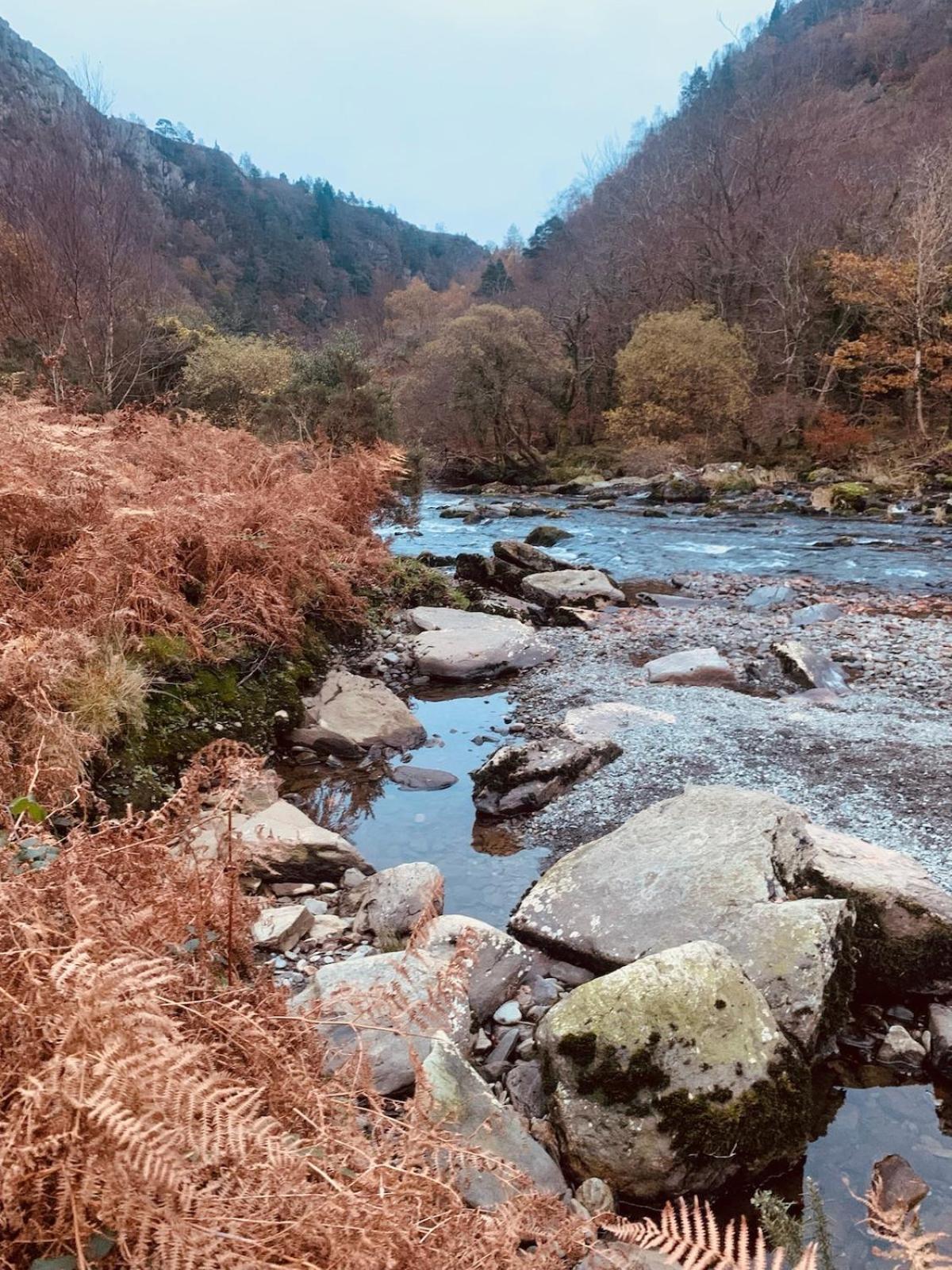 Tyn Y Simdde - Secluded Mountain Stay - Stunning Views Of Eryri Dolgellau Exteriör bild