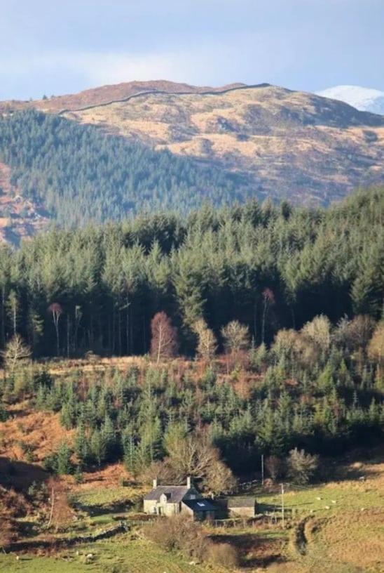 Tyn Y Simdde - Secluded Mountain Stay - Stunning Views Of Eryri Dolgellau Exteriör bild