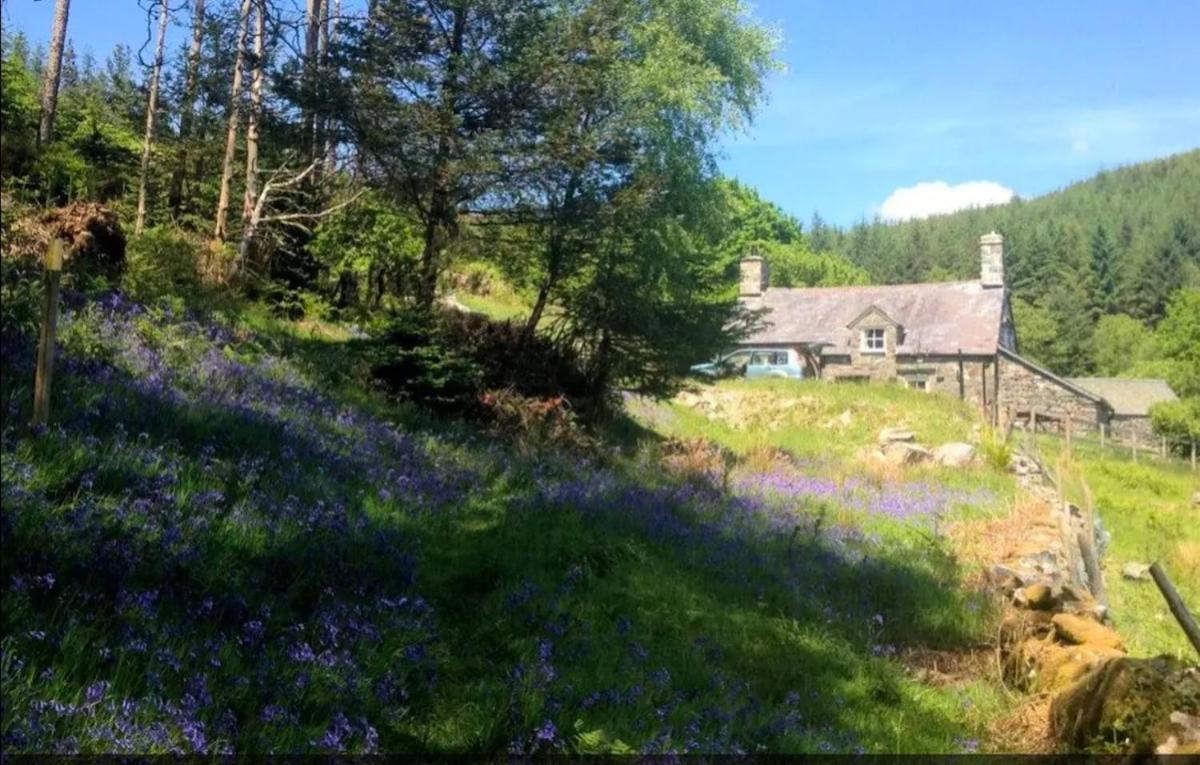 Tyn Y Simdde - Secluded Mountain Stay - Stunning Views Of Eryri Dolgellau Exteriör bild