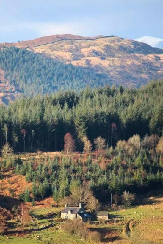 Tyn Y Simdde - Secluded Mountain Stay - Stunning Views Of Eryri Dolgellau Exteriör bild