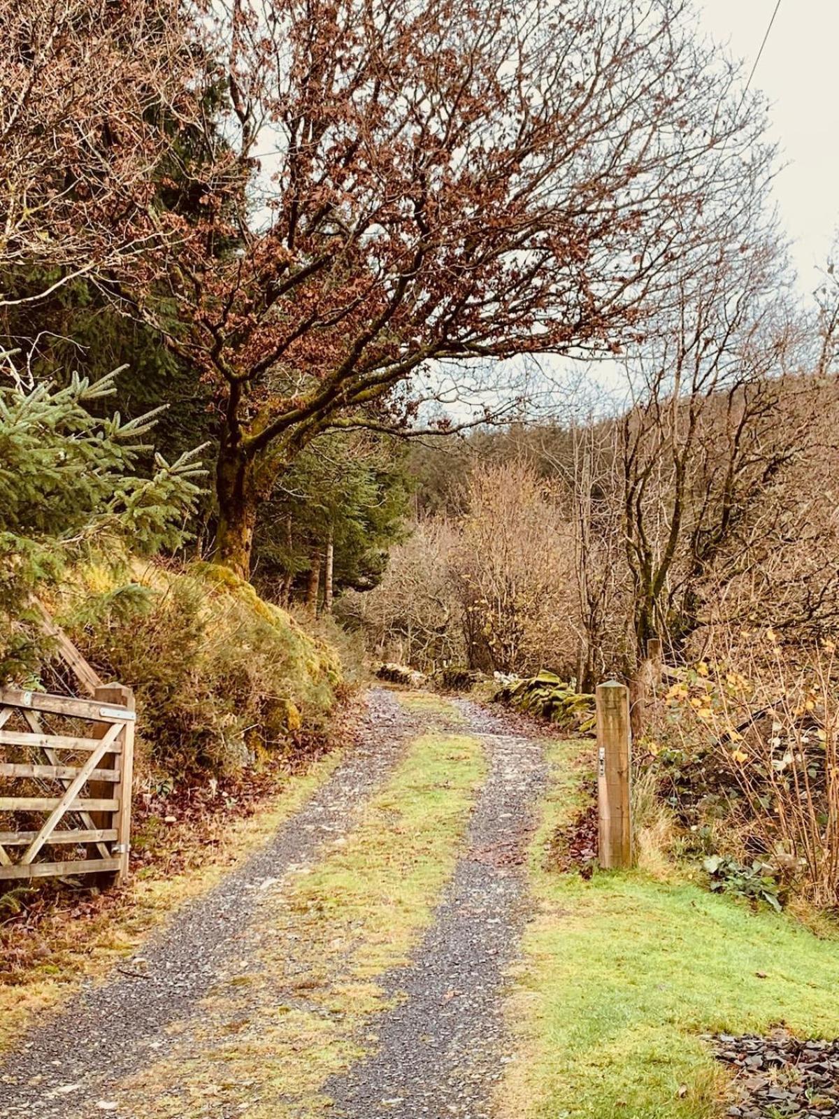 Tyn Y Simdde - Secluded Mountain Stay - Stunning Views Of Eryri Dolgellau Exteriör bild