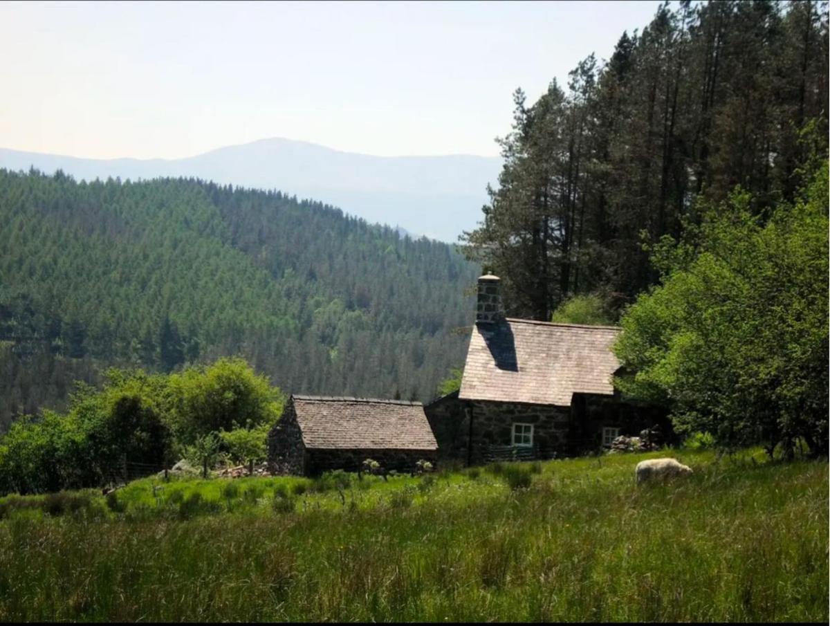 Tyn Y Simdde - Secluded Mountain Stay - Stunning Views Of Eryri Dolgellau Exteriör bild
