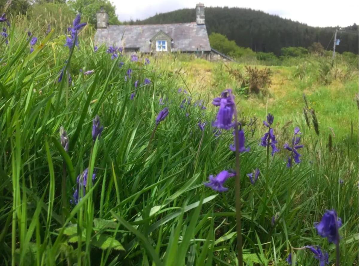 Tyn Y Simdde - Secluded Mountain Stay - Stunning Views Of Eryri Dolgellau Exteriör bild