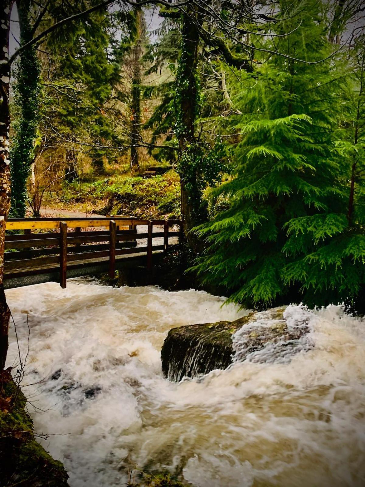 Tyn Y Simdde - Secluded Mountain Stay - Stunning Views Of Eryri Dolgellau Exteriör bild